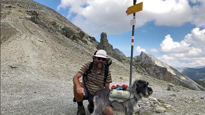 Zwei Schnauzer durchwandern die Schweiz