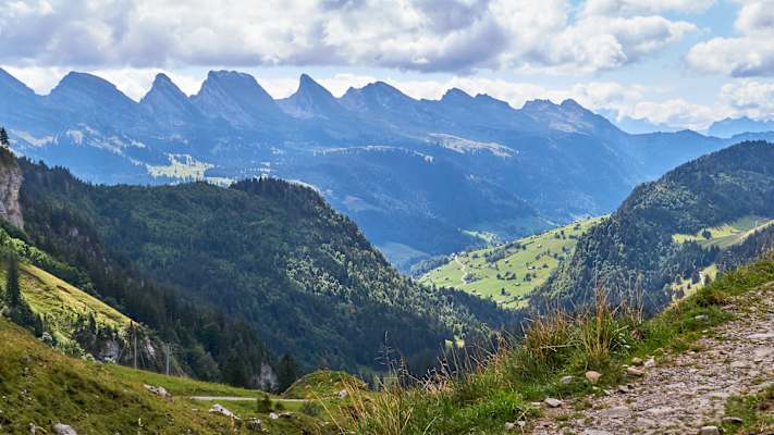 Zwei Schnauzer durchwandern die Schweiz