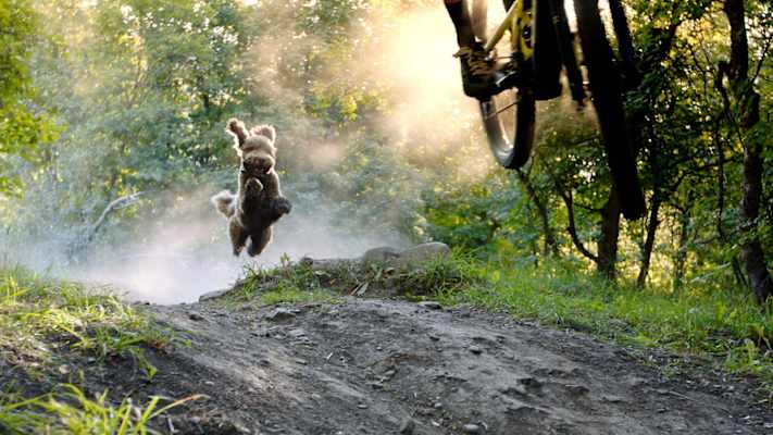 Die BANFF Mountain Film Tour 2022