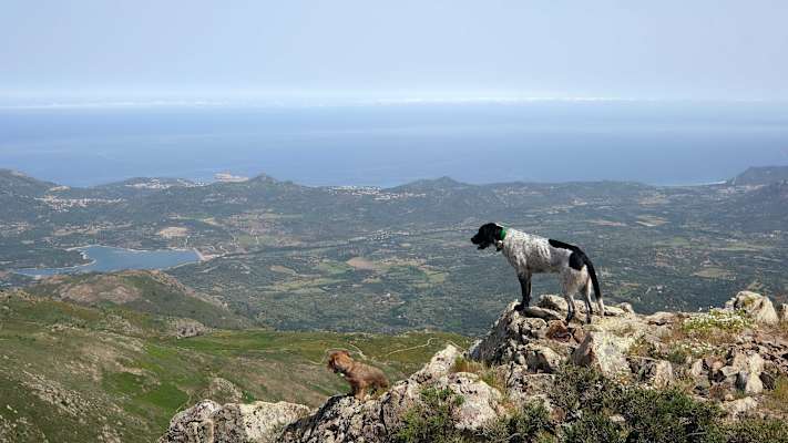 Korsika Bergwandern