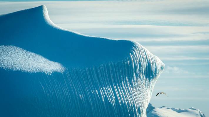 Polarmeer Fotostrecke