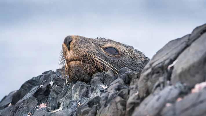 Polarmeer Fotostrecke