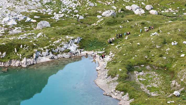 Wandern mit Lamas