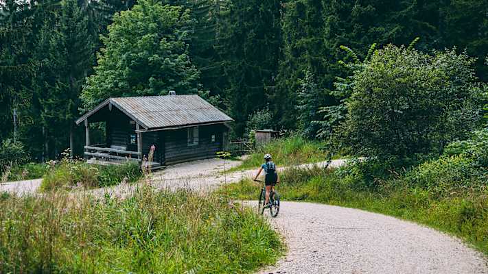 Trotz einigen Steigungen eine Tour zum Genießen: Die Frillensee Runde führt vorbei an zwei Seen und durch eine herrliche Waldlandschaft.