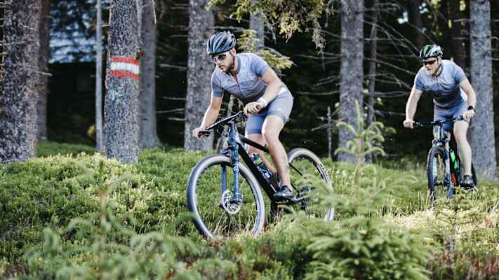 Zwei Männer fahren auf Mountainbikes durch den Wald.
