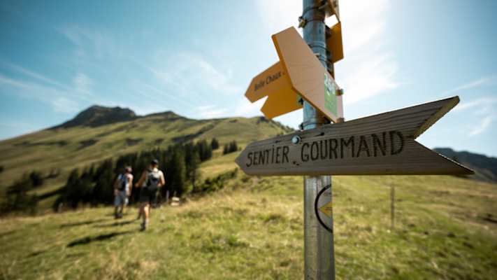 Zwei Wanderer auf dem Gourmetpfad von Les Paccots.