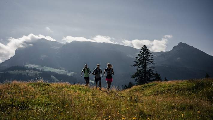 Drei Trailrunner laufen in Les Paccots über eine Wiese, im Hintergrund ein Berg.
