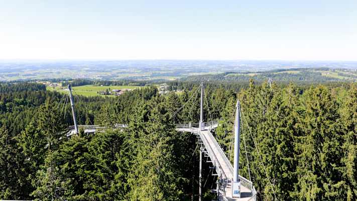 skywalk allgäu Naturerlebnispark