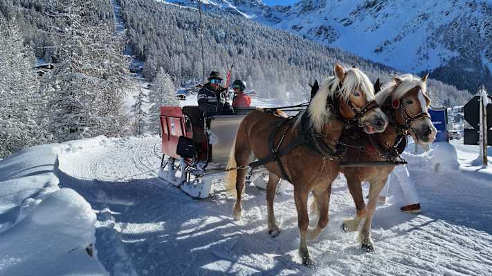 Zwe Personen sitzen auf einem Schlitten und werden von Pferden gezogen.