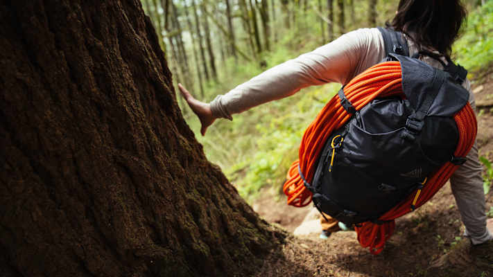 Eine Frau geht einen Waldweg hinab und trägt dabei den Gregory Rucksack Alpinisto 30.