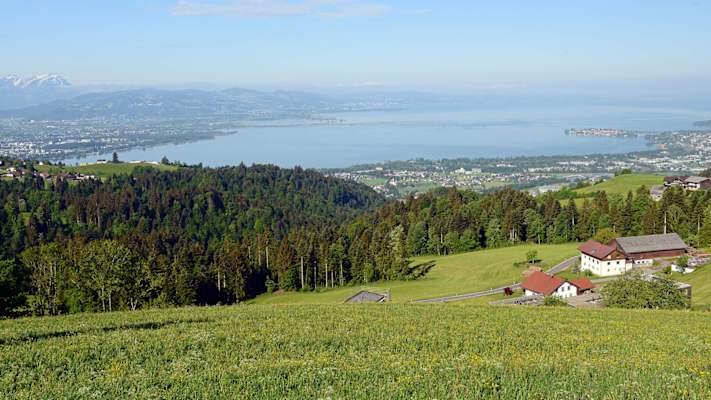 Den Bodensee fest im Blick – in Scheidegg ist das beim Wandern keine Seltenheit.