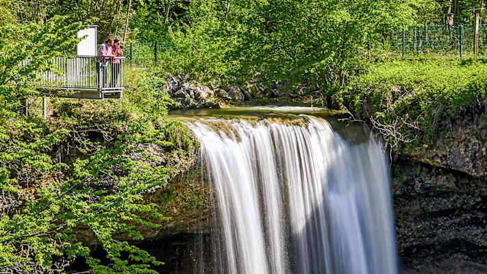 Über 22 Meter und 18 Meter stürzt das Wasser des Rickenbachs über zwei Stufen in die Tiefe.