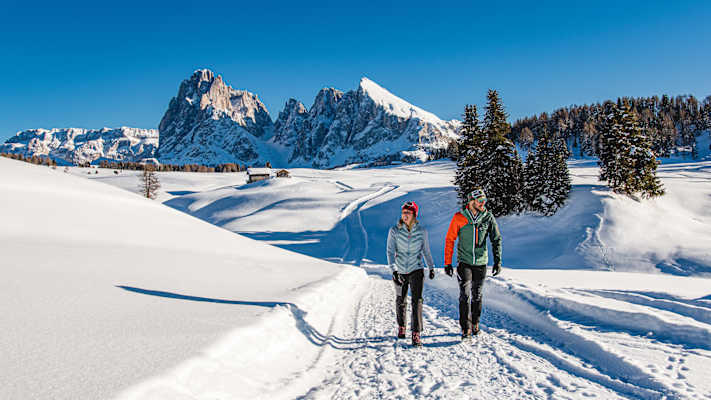 Das Winterwandern enthüllt die ruhige Magie des Winters, wo verschneite Pfade und klare, frische Luft die Sinne beleben.