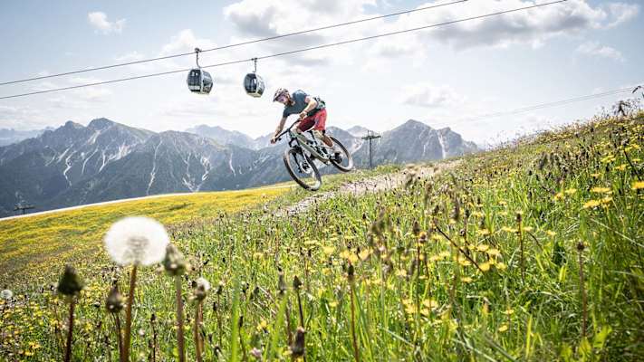 Die Panoramatrails in Saalbach