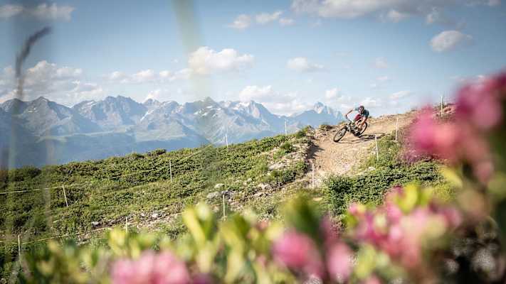 Spüre die Freiheit am Bike