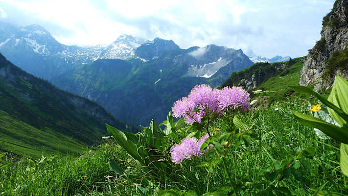 Biosphärenpark Großes Walsertal