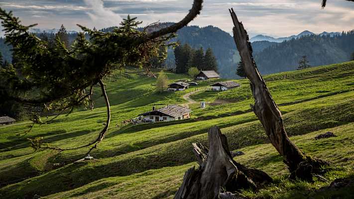 Haaralm in Ruhpolding