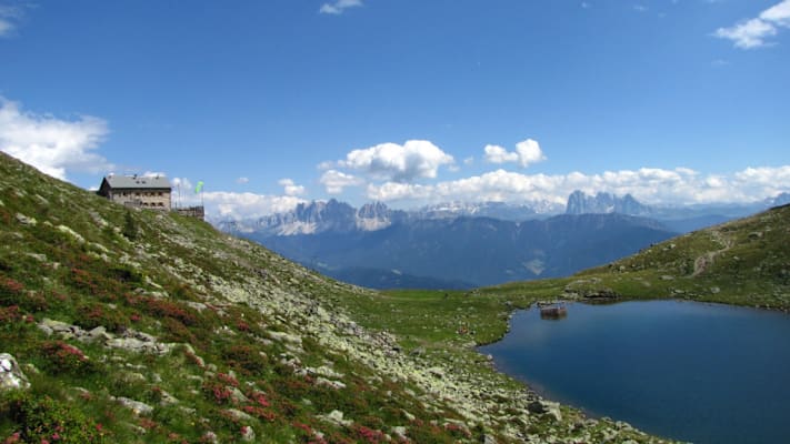 So schmecken die Berge