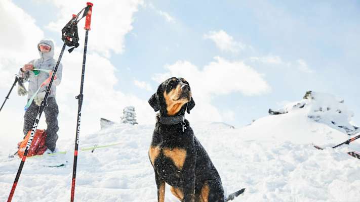 Skitour in den Kitzbüheler Alpen: Am Gipfel des Sonnwendkogels im Trattenbachtal
