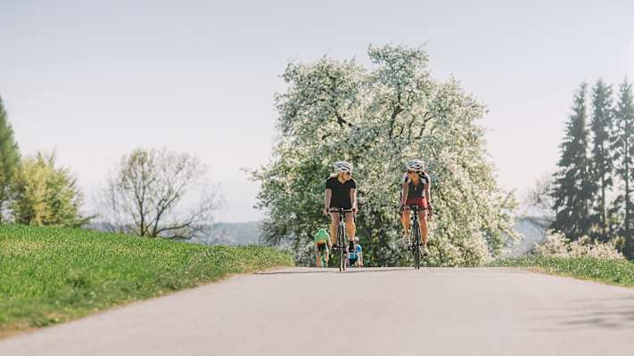Mit dem Rad durch blühende Landschaften im Mühlviertel