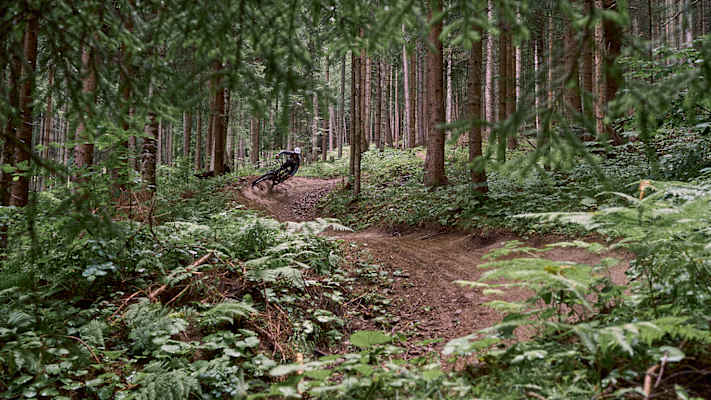 Ein Mountainbiker fährt einen Trail in Tirol hinab.