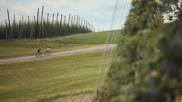 Eine Frau und ein Mann fahren im Mühlviertel zwischen Hopfenfeldern Fahrrad
