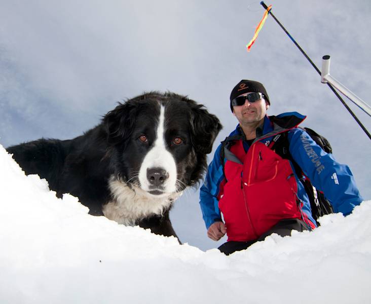 Lawinen-Suchhund der Bergwacht Bayern
