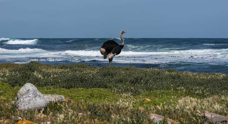 Reise Klettern in Südafrika