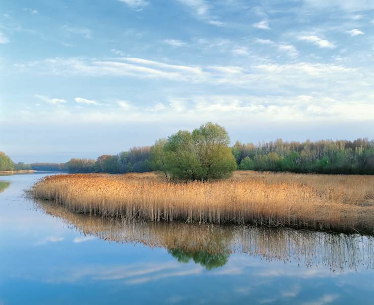 Ein Seitenarm der Donau