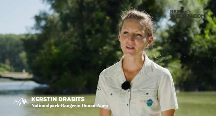 Nationalpark Donau-Auen Video