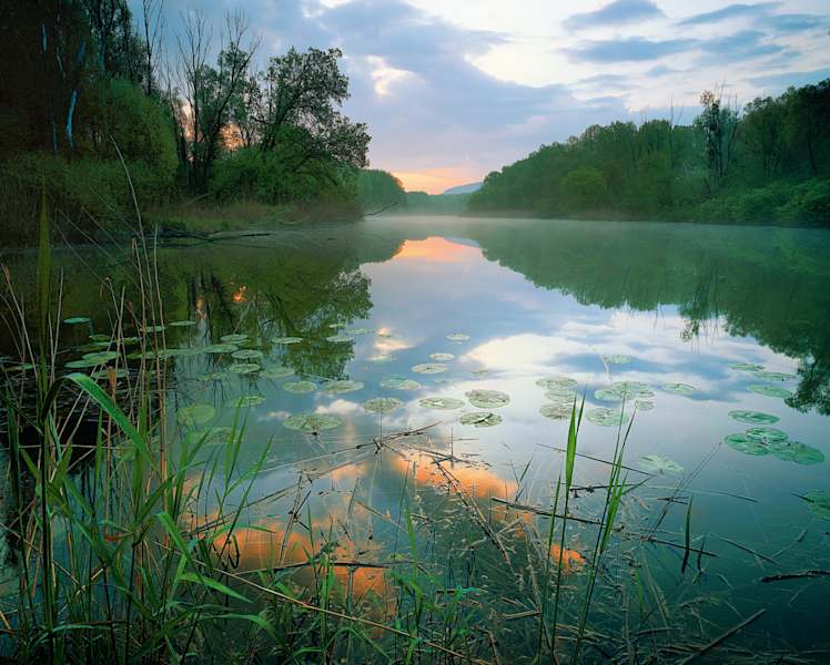 Abendstimmung im Nationalpark Donau-Auen