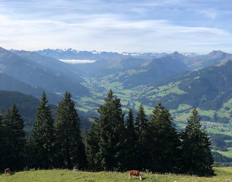 Wanderbares Kitzbühel – angenehmes Gelände mit wunderbarem Panorama
