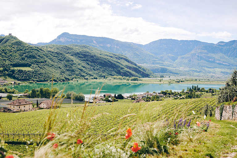 Panorama Kalterer See in Süditrol