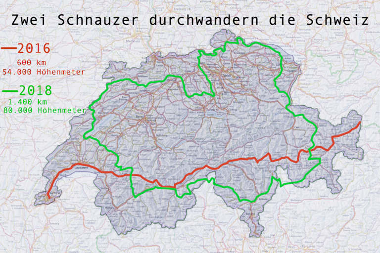Zwei Schnauzer durchwandern die Schweiz