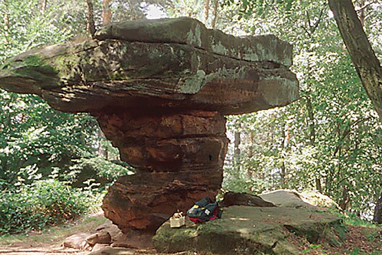 Der konditionell fordernde Wanderweg führt einen durch das Wunder Natur.
