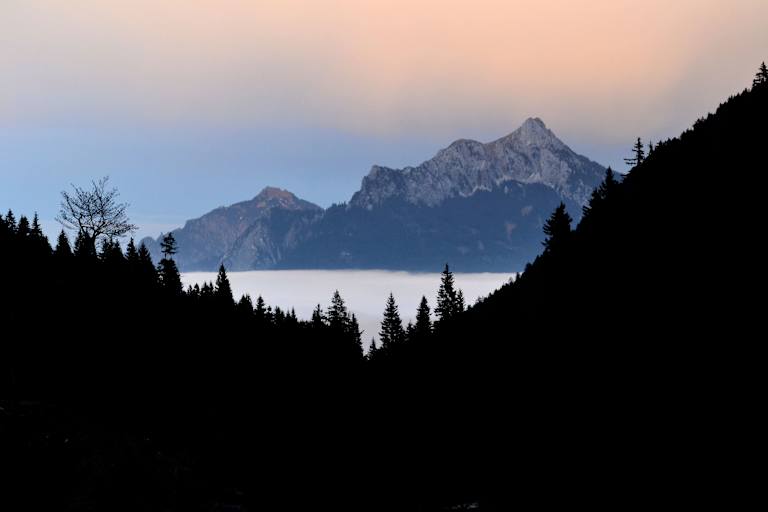 Blick in die Allgäuer Berge: Säuling