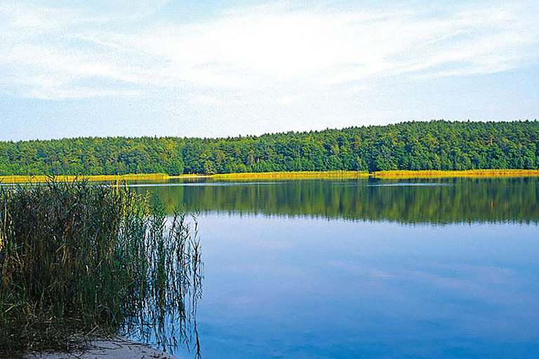 Eine aussichtsreiche Wald-Feldflurenwanderung.