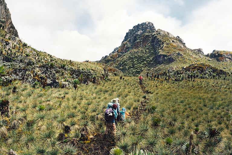 Auf dem Weg zum Gipfel des Regenmachers, dem Ruwenzori.