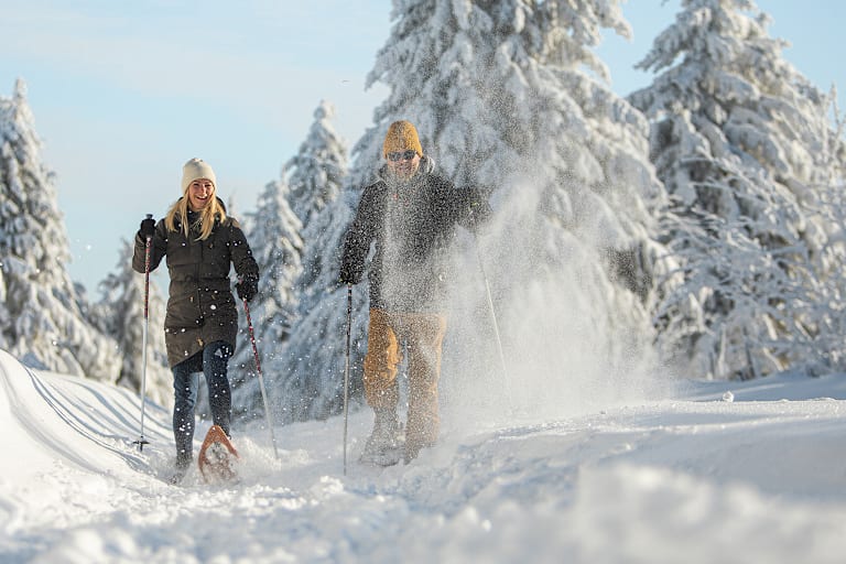 Zwei Personen langlaufen im Wald in Sachsen.