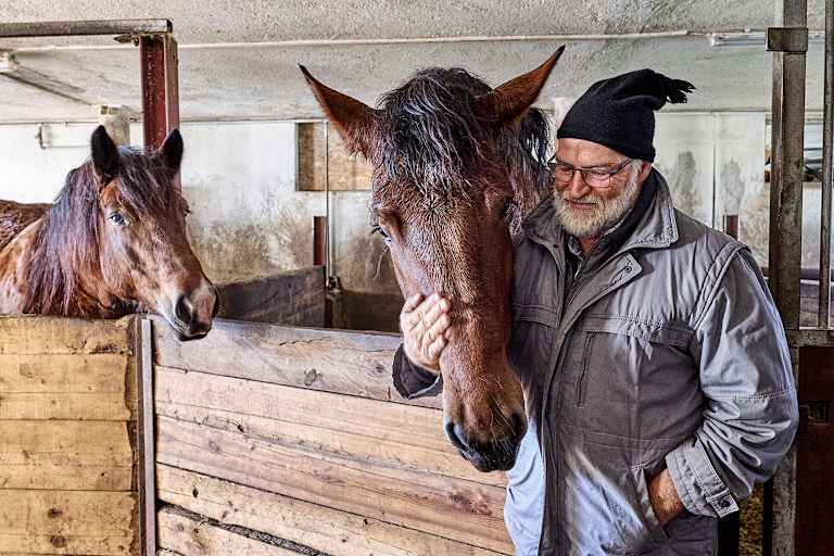 In den Wintermonaten genießen die Pferde im Stall die Zuwendung der Bergbauern.