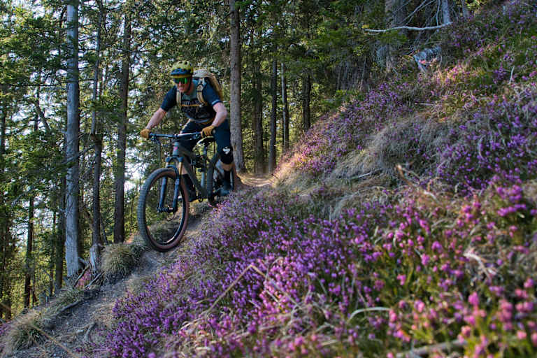 Mountainbiker im Wald