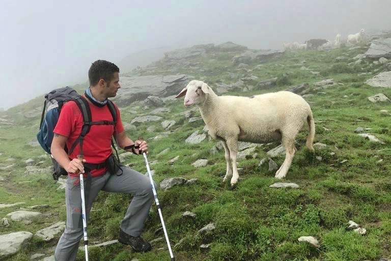 Wandertipp: Alexander Enzinger Weg