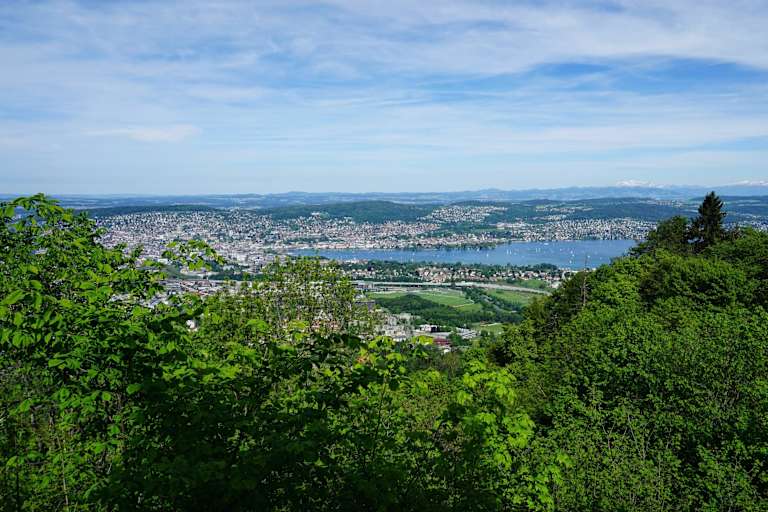 Blick vom Uetliberg auf Zürich und den Zürichsee