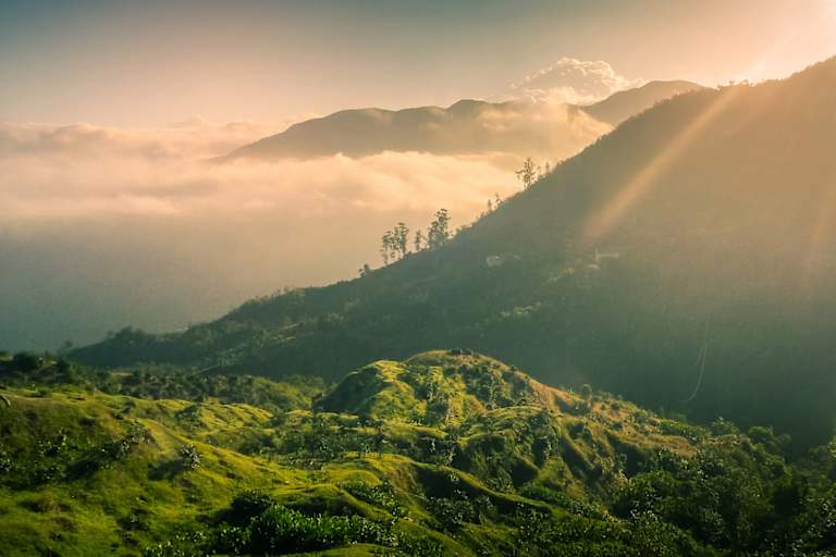 Jamaika Blue Mountains Wandern