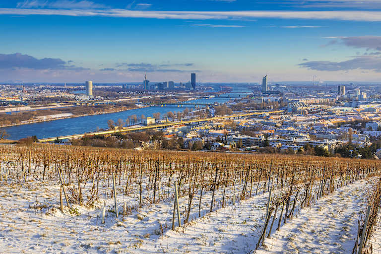 Blick über Wien