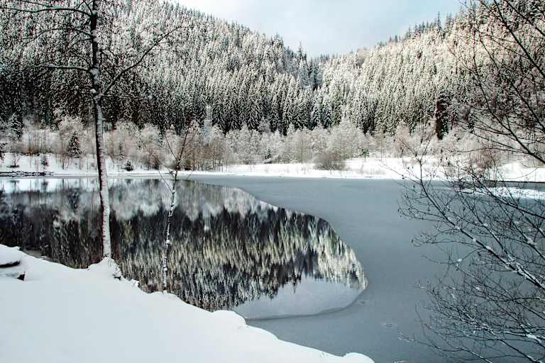 Sankenbachsee in Baiersbronn