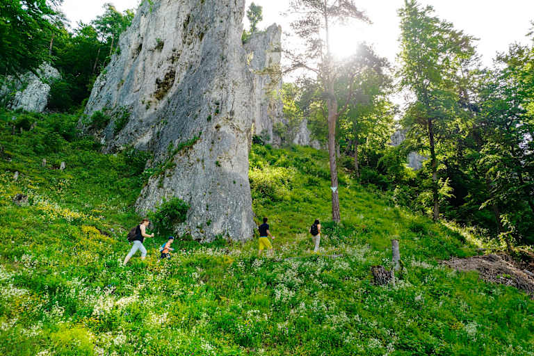 Blaubeuren Geißenklösterle
