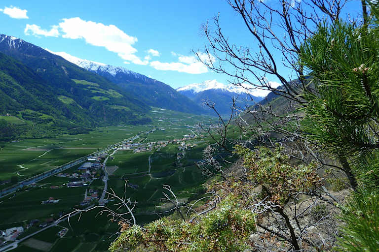 Blick in den Vinschgau