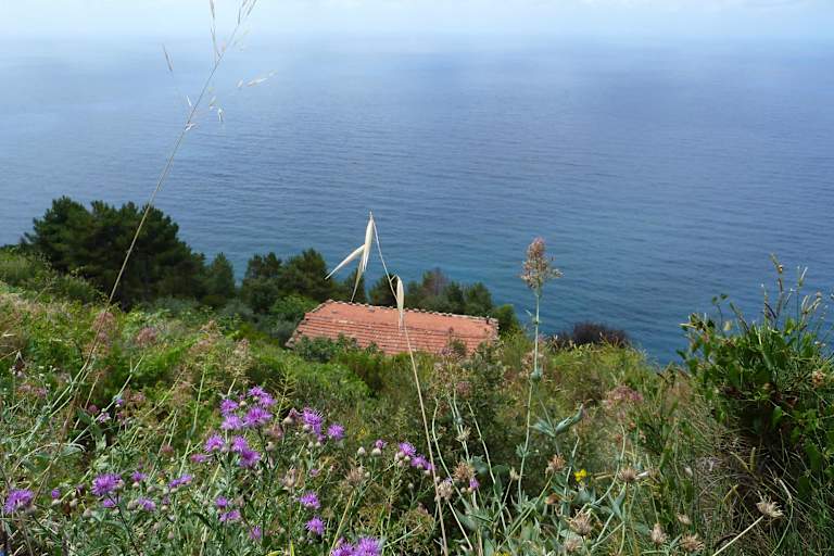 Im Frühling ist eine Wanderung in Cinque Terre besonders empfehlenswert