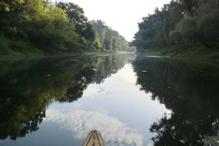 Nationalpark Donau-Auen östlich von Wien